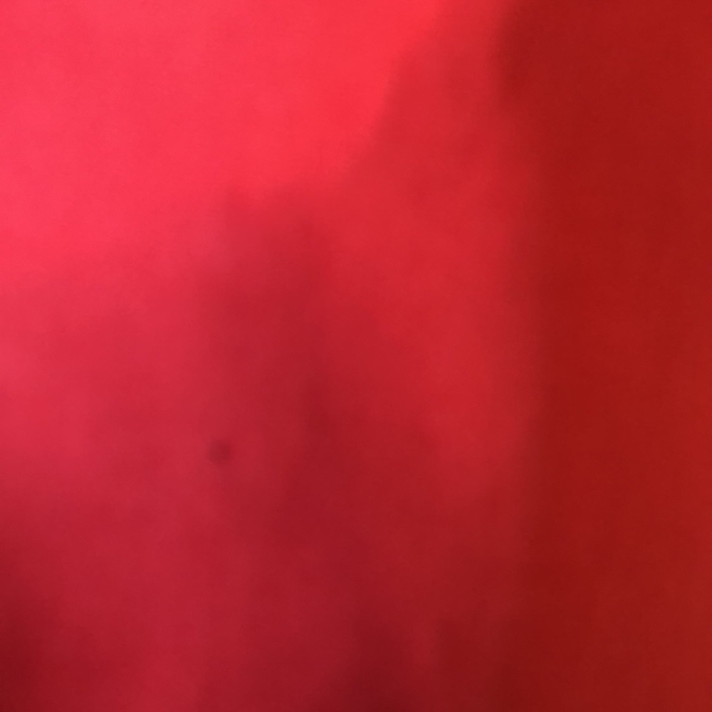 Eileen Fisher Red Trench Coat with Notched Lapels - Picture 11 of 12